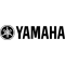 298207